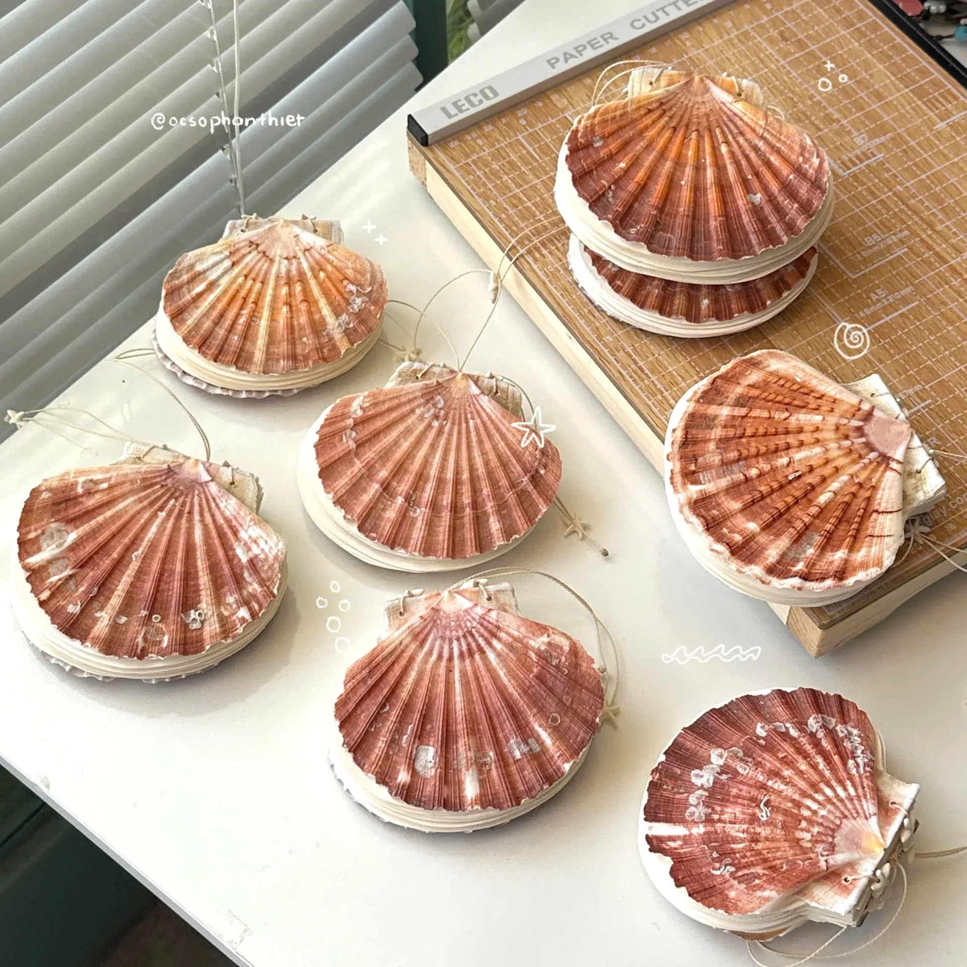 Sổ xò xẹp